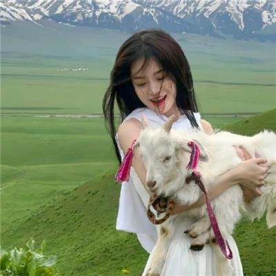 西游记八戒降妖